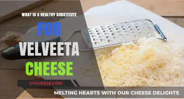 Healthy Velveeta Cheese Alternatives for Your Meals