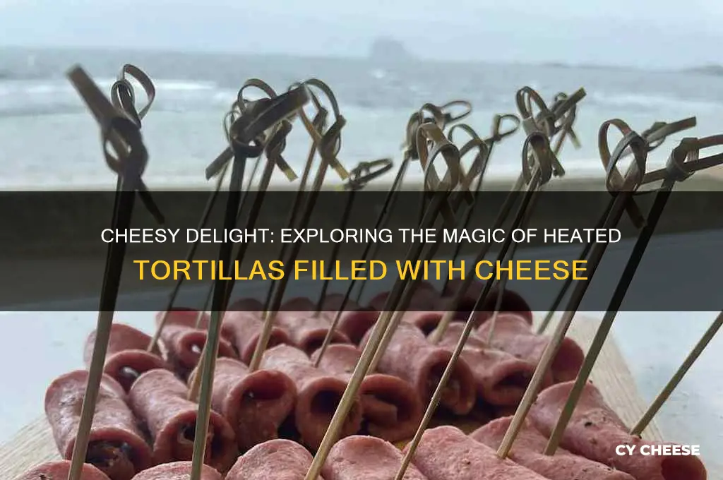 what is a heated tortilla filled with cheese