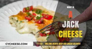 Discover the Creamy Delight: What is Jack Cheese?