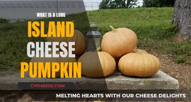 The Long Island Cheese Pumpkin: A Unique Winter Squash