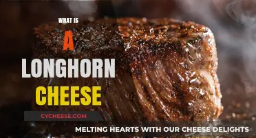 Discover the Rich Flavor and History of Longhorn Cheese