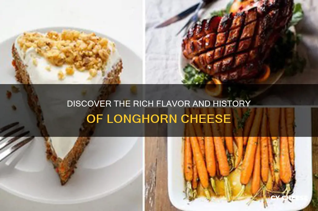 what is a longhorn cheese