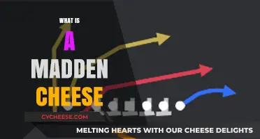 Understanding Madden Cheese: Exploits, Strategies, and Fair Play in Gaming