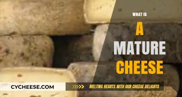 Exploring the Rich Flavors and Aging Process of Mature Cheese