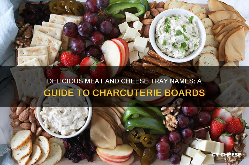 what is a meat and cheese tray called