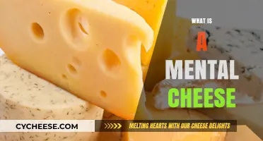 Unraveling the Mystery: Understanding the Concept of Mental Cheese
