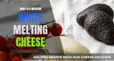 Explore the Secrets of Mexican White Melting Cheese