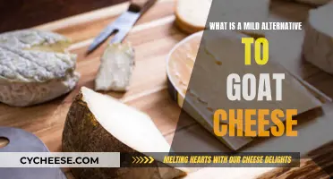 Mild Cheese Options: Exploring Alternatives to Goat Cheese