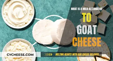 Goat Cheese Alternatives: Mild Options for Your Palate