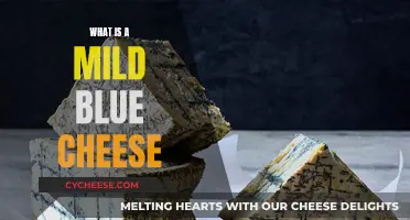 Blue Cheese, Mildly Explained: A Beginner's Guide