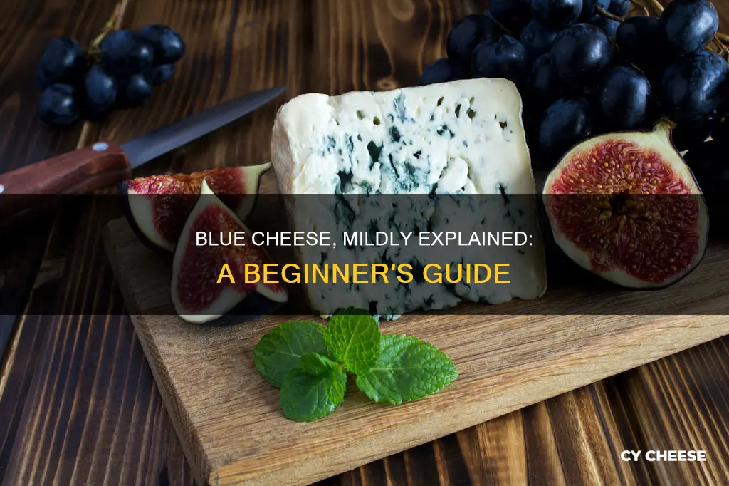 what is a mild blue cheese
