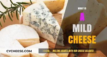 Exploring Mild Cheese: Types, Flavors, and Culinary Uses