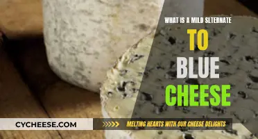 Blue Cheese Substitute: Mild Alternative Options