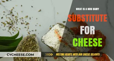 Discover Creamy, Plant-Based Cheese Alternatives for Dairy-Free Diets