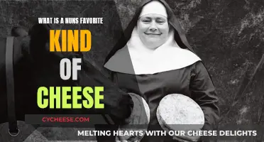 Nun's Favorite Cheese: What's Her Preference?