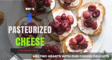 Understanding Pasteurized Cheese: Benefits, Process, and Popular Varieties
