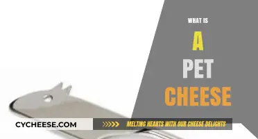 What is a Pet Cheese? Unraveling the Mystery of This Unique Concept