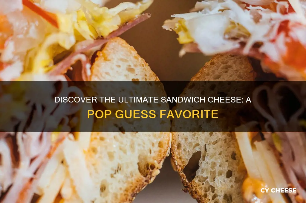 what is a popular cheese for a sandwich pop guess
