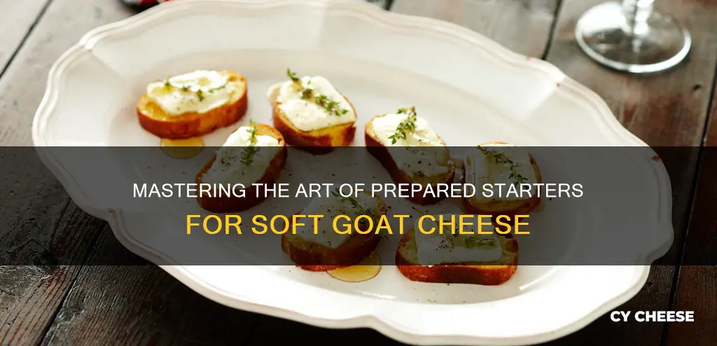 what is a prepared starter for soft goat cheese