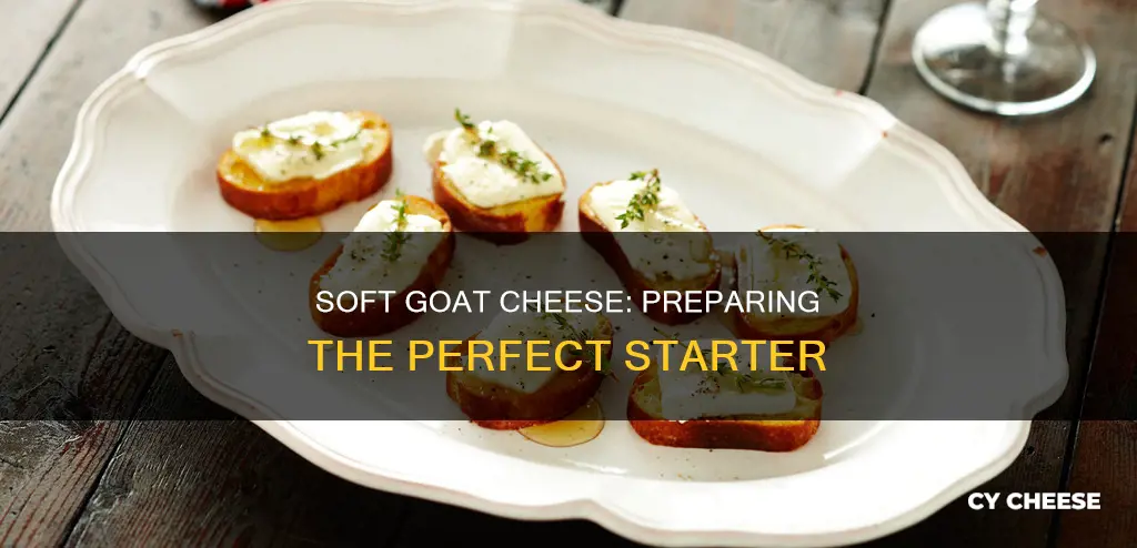 what is a prepared starter for soft goat cheese