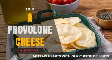 Discover the Rich Flavor and History of Provolone Cheese