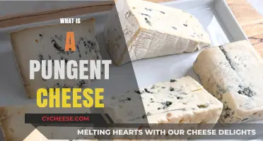 Exploring Pungent Cheese: Bold Flavors, Unique Aromas, and Varieties