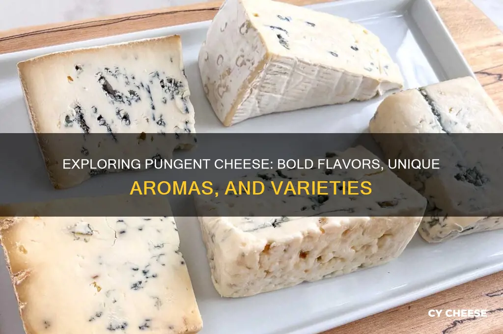 what is a pungent cheese