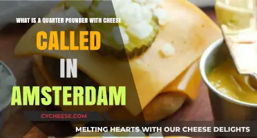 Quarter Pounder with Cheese in Amsterdam: Its Local Name Explained