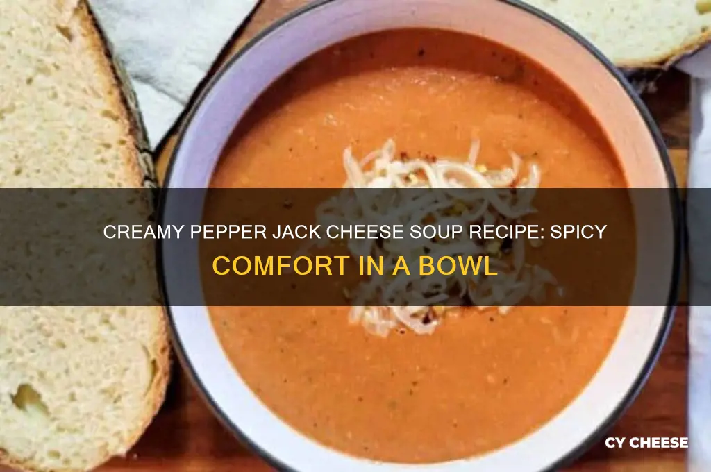 what is a recipe for pepper jack cheese soup