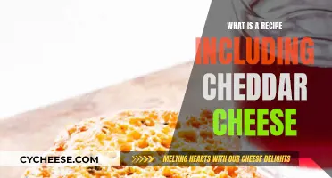 Cheesy Delight: Exploring Cheddar Cheese Recipes