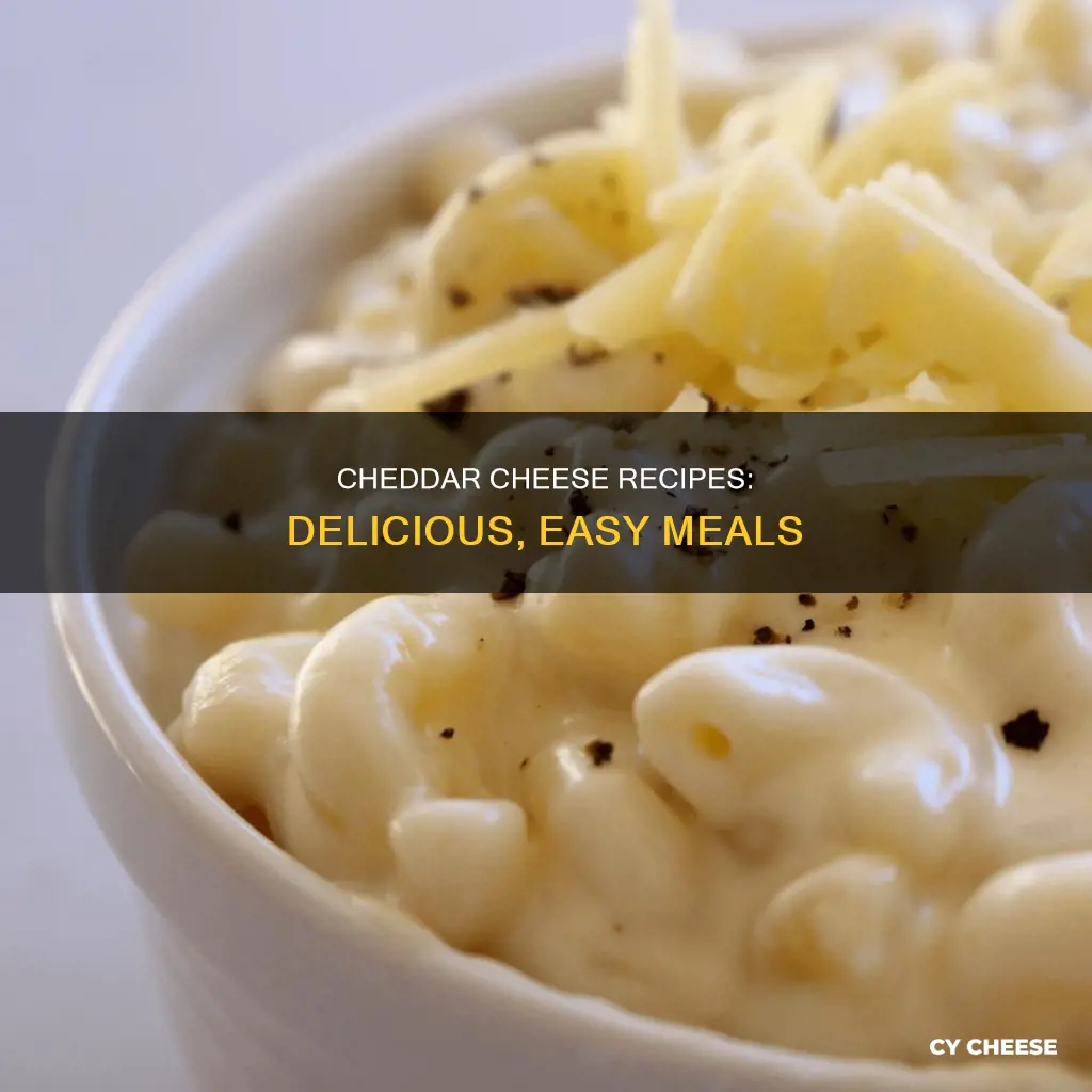 what is a recipe including cheddar cheese