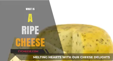 Understanding Ripe Cheese: Characteristics, Types, and Perfect Pairings