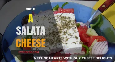 Discover the Unique Flavor and Origin of Salata Cheese