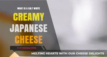 Discover Salt White Creamy Japanese Cheese: A Unique Culinary Delight
