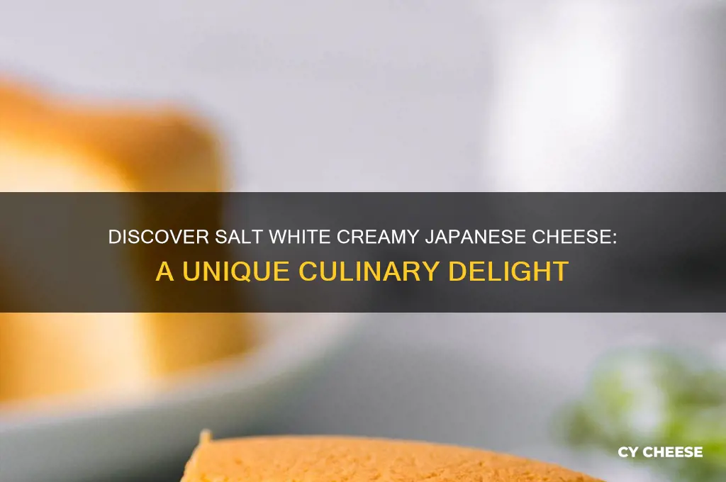 what is a salt white creamy japanese cheese