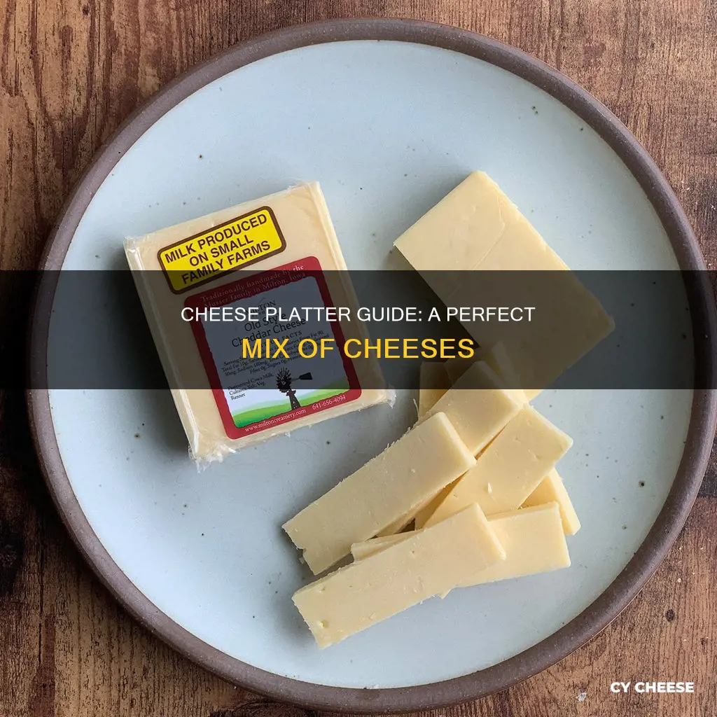 what is a serving of mixed cheese