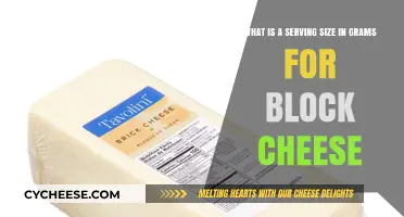 Cheese Blocks: How Much is a Serving?