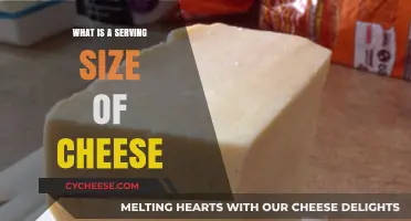 Cheese Serving Sizes: How Much is Enough?