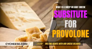 Sheep or Goat Cheese Substitute: The Ultimate Guide to Provolone Alternatives