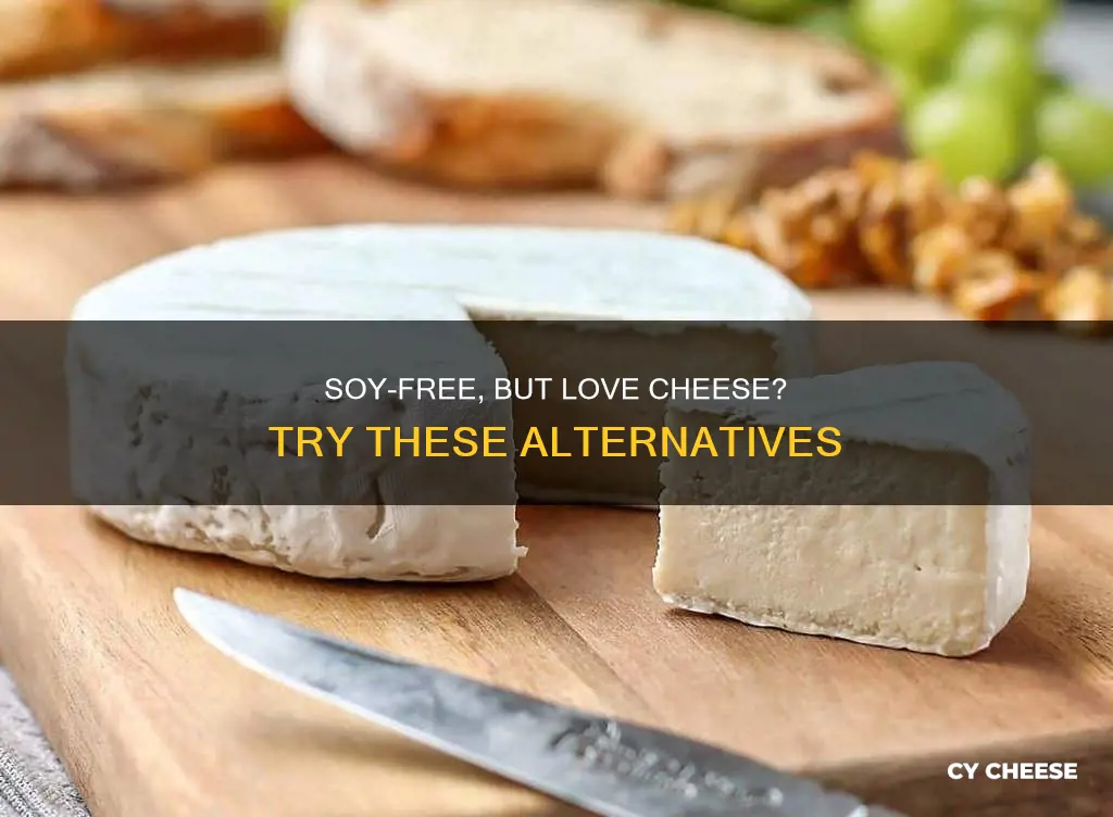 what is a soy-free substitute for cheese