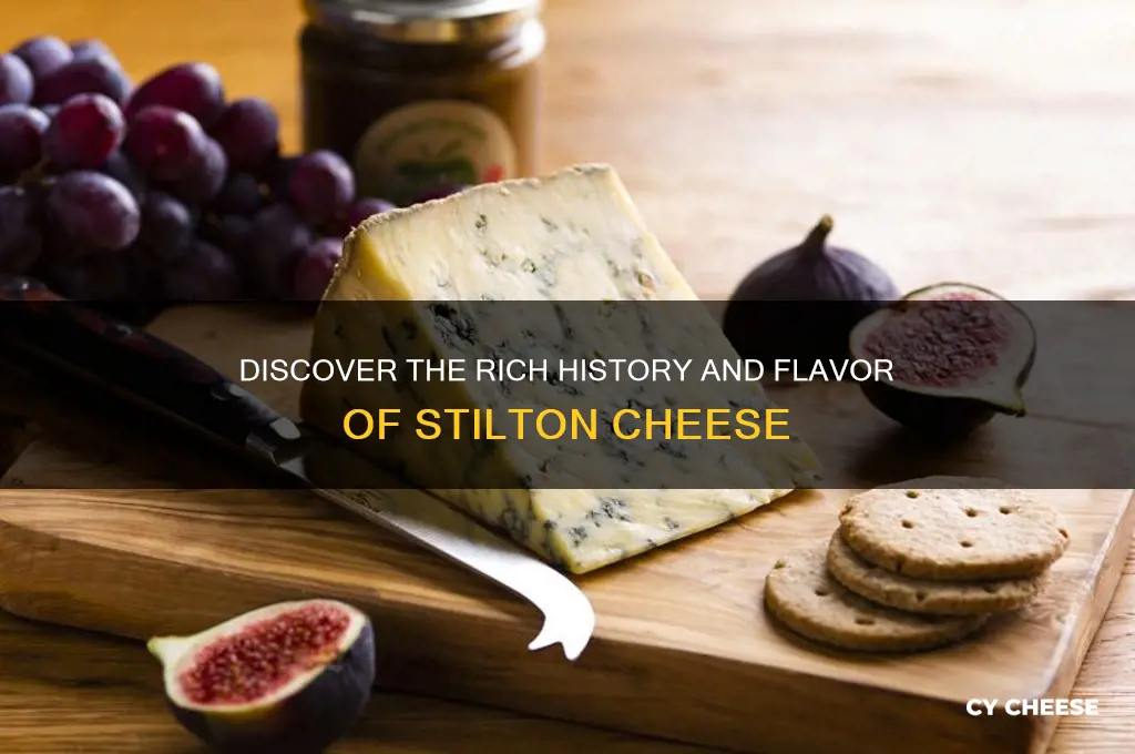 what is a stilton cheese