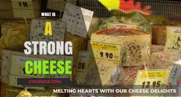 Exploring the Bold Flavors of Strong Cheese: A Tasty Guide