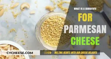 Parmesan Alternatives: Cheeses to Substitute in Your Favorite Dish