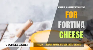 Discover the Best Substitute Cheese for Fortina in Your Recipes