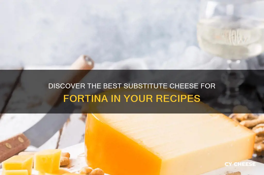 what is a substitute cheese for fortina cheese