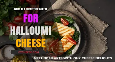 Discover the Best Substitute Cheese for Halloumi in Your Recipes