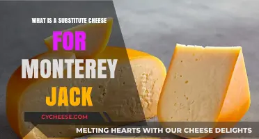 Perfect Monterey Jack Cheese Substitutes for Your Favorite Recipes