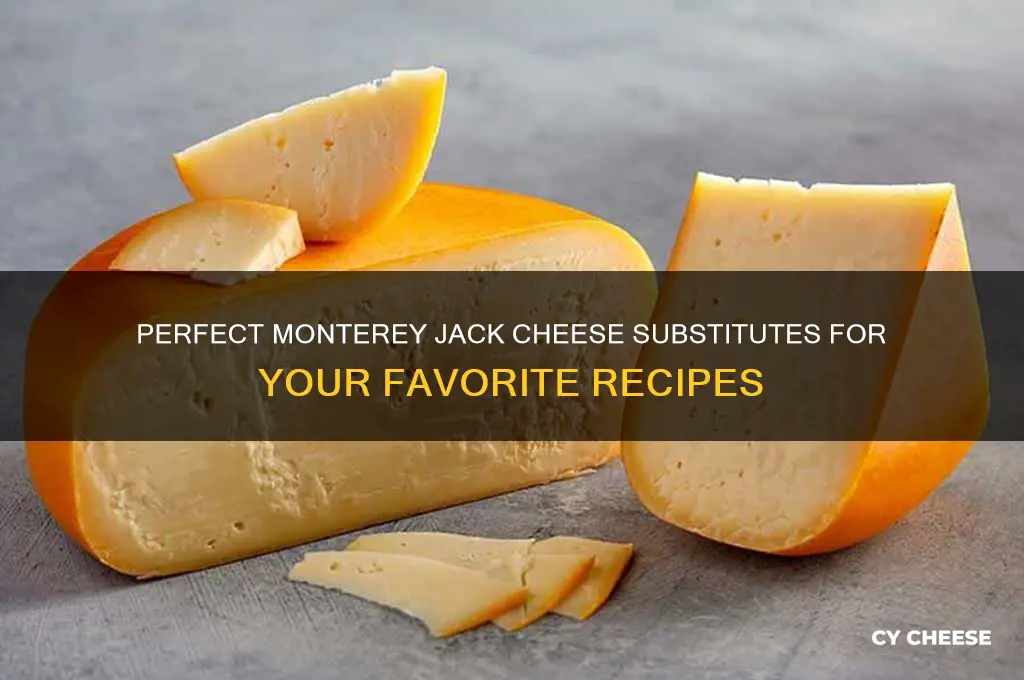 what is a substitute cheese for monterey jack