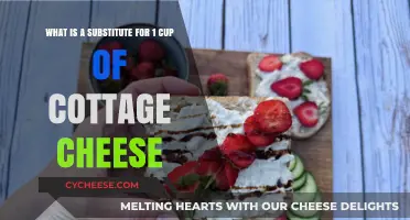 Cottage Cheese Alternatives: Best Substitutes for 1 Cup in Recipes