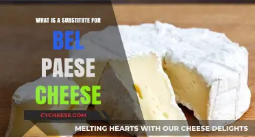 Discover the Best Bel Paese Cheese Alternatives for Your Recipes